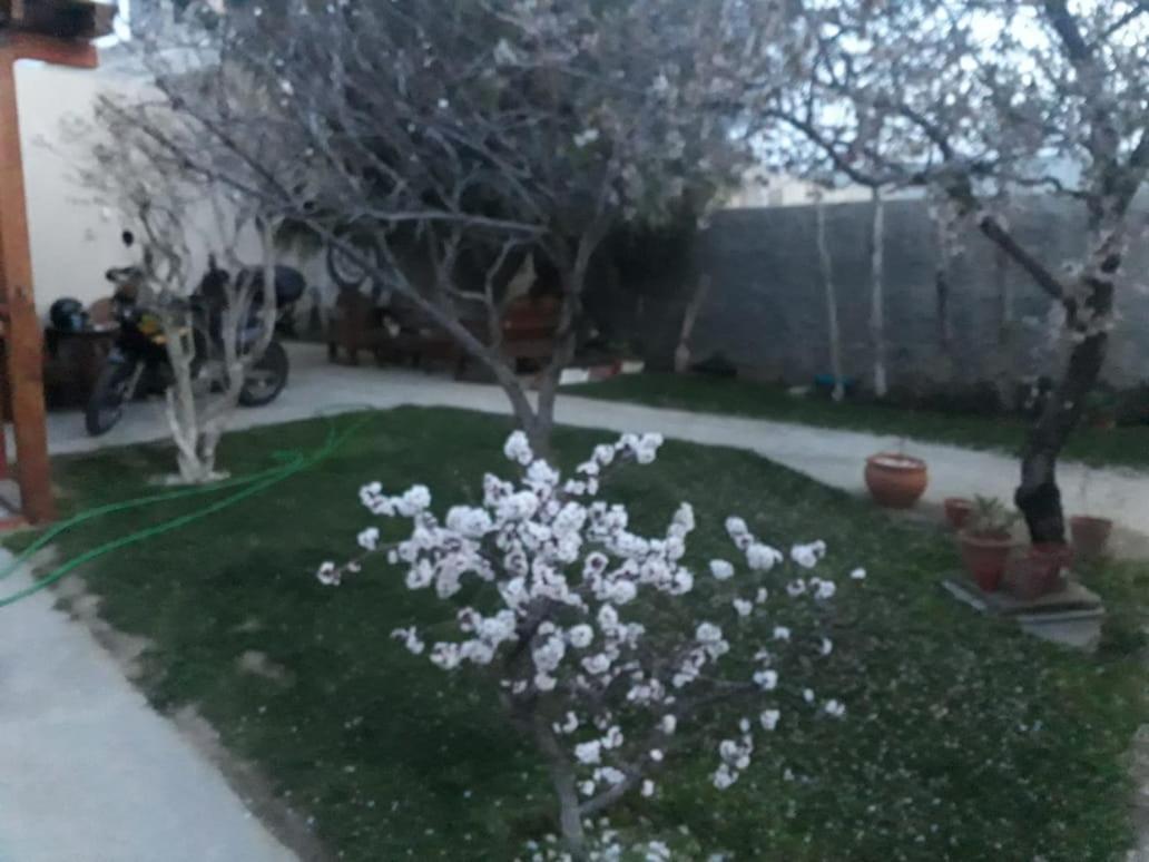 Rada Tilly Apart Bagian luar foto